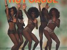 HOT SAUCE s/t RARE FRENCH PRESS KILLER DISCO LP ?