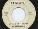 HEAR - Rare Doo Wop 45 - The Sparkletones - Just One Chance - Promo