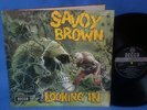 SAVOY BROWN - Looking In  First Press Unboxed Decca Mint -  Prog Rock Top 