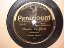 CHARLIE SPAND BLIND BLAKE Ain't Gonna Stand ForThat/Moanin'Blues PARAMOUNT 12856