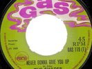 THE SHADES / NEVER GONNA GIVE YOU UP /  LISTEN