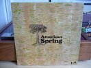 AMERICAN SPRING:SAME.ORIG U.K TEXTURED SLEEVE 1972.NEAR MINT BEACH BOYS.SUPERB