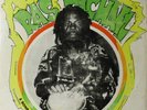 RAS MICHAEL - IRATIONS OF - JAMAICA 80 - NM