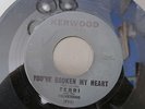 TERRI AND THE VELVETEENS YOU'VE BROKEN MY HEART KERWOOD 45 R&B DOO WOP