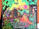 CULPEPER'S ORCHARD Psych MONSTER Original POLYDOR 1970 Pokora