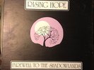 RISING HOPE - FAREWELL SHADOWLANDS LP rare private ohio xian folk psych narnia