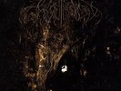 Wolves in the Throne Room 