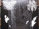 DROWNING THE LIGHT / LONE SUFFER 10