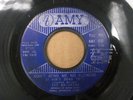 the breakers don't send me no flowers rare garage 45 on amy