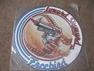Collectable lynyrd skynyrd freebird 12