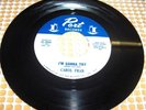 CAROL FRAN I'M GONNA TRY *HEAR* MOD R&B NORTHERN SOUL PORT RECORDS ORIG NM