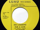 Rare Northern Soul 45 THE HEADLINES He's Looking For A Love on Luau M-