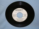 GREEN VALLEY BOYS Put John In Washington 45 Record BLUEGRASS Rare LUKE THOMPSON