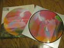 THE NAKED AND FAMOUS Limited Ed Picture Disc Vinyl LP Passive Me, Agressive You