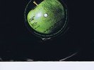 THE BEATLES ballad of john & yoko 1969 APPLE ORIGINAL (R 5786) w/ APPLE BAG MINT