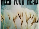 Flex Your Head LP 1982 Sealed 2nd Pressing Dischord Minor Threat Punk Hardcore