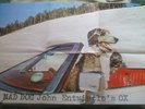 John Entwistle's Ox - Mad Dog NM UK 1st + POSTER + INSERT  THE WHO