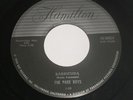 RARE SURF , THE PAGE BOYS on HAMILTON 50025 . 