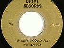PROLIFICS northern soul 45 on DRIVE “If Only I Could Fly” nice copy orig HEAR