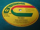 Pad Anthony In Deh Killer Digi 12