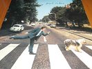 Paul McCartney - Paul is Live - UK Vinyl Album - Rare Pressing
