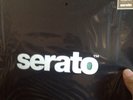 Glow in The dark Performance Series Serato Vinyl Records Pair Limited Edition