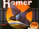 HOMER - GROWN IN U.S.A. (VERY RARE IT. AKARMA RE.)