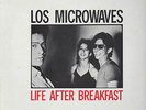 LOS MICROWAVES NO WAVE MINIMAL SYNTH cosmic LP hear