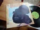 WILD TURKEY TURKEY MINT 1972 UK 1ST PRESS TOP RAR