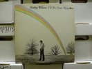 BOBBY WILSON I'll Be Your Rainbow LP on BUDDHA Rare Soul NM
