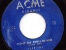 DOOWOP R&B bw/ ROCKER--SUNBEAMS--HEAR BOTH--1957 N.Y. ACME
