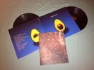 PEARL JAM (Avocado album) 2x LP VINYL SET + BOOKLET // Very rare and limited