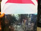 La Dispute Wildlife RSD limited PINK vinyl TOUCHE AMORE DEFEATER TIGERS JAW