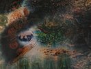 PINK FLOYD - A Saucerful of Secrets (1968 first UK stereo pressing)
