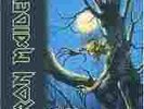 IRON MAIDEN - FEAR OF THE DARK    /  VINYL