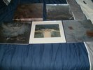 Cocteau Twins - Treasure 4LP BOX SET NEW 4AD