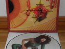 KATE BUSH - THE KICK INSIDE - PICTURE DISC - STICKERED SLEEVE