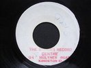 STUPID DOCTOR / TOMMY McCOOK / 7 in BLANK RARE