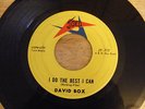 David Box, 45 - I Do The Best I Can / Waitin' - Joed JT-717, 1962 Rock, Crickets