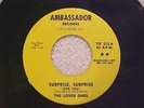 THE LOVED ONES RARE 60s GARAGE PUNK PSYCH 45 SURPRISE SURPRISE Ambassador 212