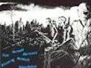 soundtracks zum untergang 2 - neuer deutscher punk untergrund LP