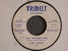 Ray Agee Tridelt 303 Promo The Wobble-OO / There's Something Wrong Northern Soul