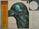 PROMO WHITE LABEL / STRAWBERRY PATH WHEN THE RAVEN HAS
