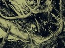 THE THIRD EYE FOUNDATION The Dark LP+CD NEW VINYL Ici D'alleurs