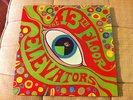 13TH FLOOR ELEVATORS - PSYCHEDELIC SOUNDS -  PSYCH LP GRAIL MONO PROMO