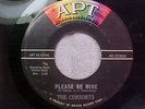 THE CONSORTS 45 RPM PLEASE BE MINE / TIME AFTER TIME APT 25066