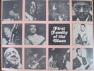 RARE 1969 CHESS RECORDS STORE CARDBOARD DISPLAY-BLUES-WOLF/WATERS/JAMES/GUY