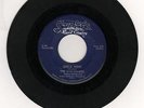 THE DANDERLIERS She's Mine VG-(-) 45 RPM