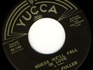 Bobby Fuller Guess We'll Fall In Love/You're In Love YUCCA lbl VG++ B.Holly HEAR