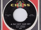 N.SOUL CLASS 45 - BILLY STEWART - A FAT BOY CAN CRY -CHESS